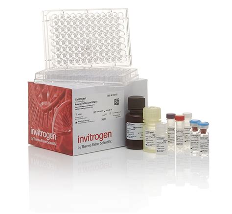 abeta elisa kit invitrogen|ifn gamma elisa kit.